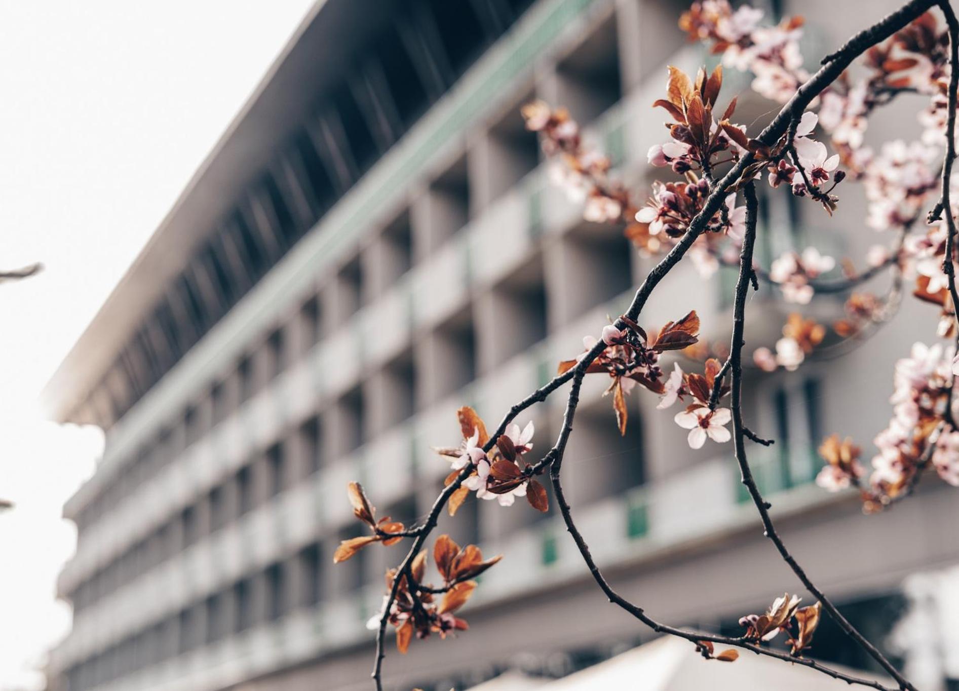 Hotel Medlov 노베 메스토 나 모라베 외부 사진